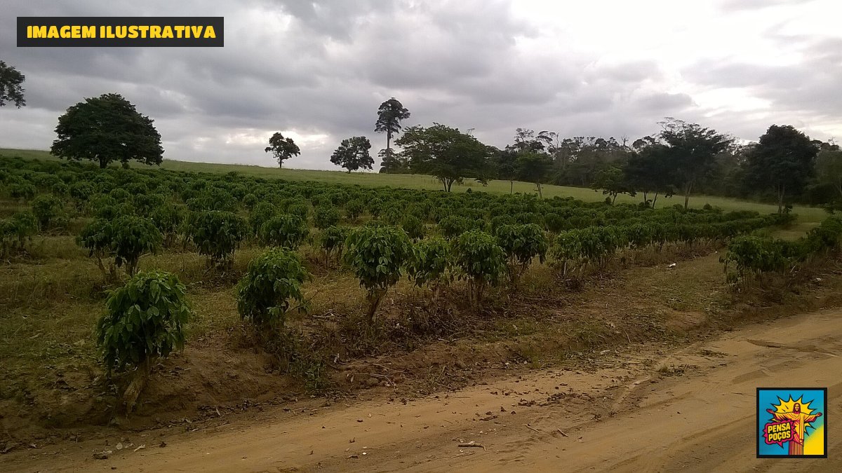 Hamburgueria do Sul de Minas é eleita a melhor do Brasil com hambúrguer defumado em lenha de café