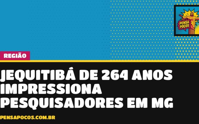 Gigante de 264 anos: estudo data jequitibá-rosa que nasceu em 1760 em reserva de Minas
