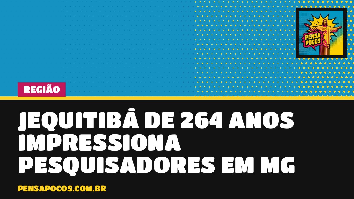 Gigante de 264 anos: estudo data jequitibá-rosa que nasceu em 1760 em reserva de Minas