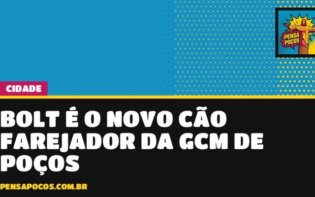 Novo cão farejador da GCM de Poços já tem nome: Bolt, escolhido por aluno do 2º ano