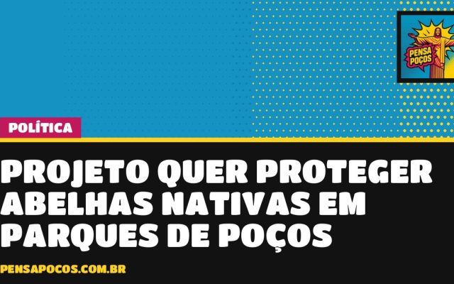 Projeto na Câmara quer proteger abelhas nativas em praças e parques de Poços