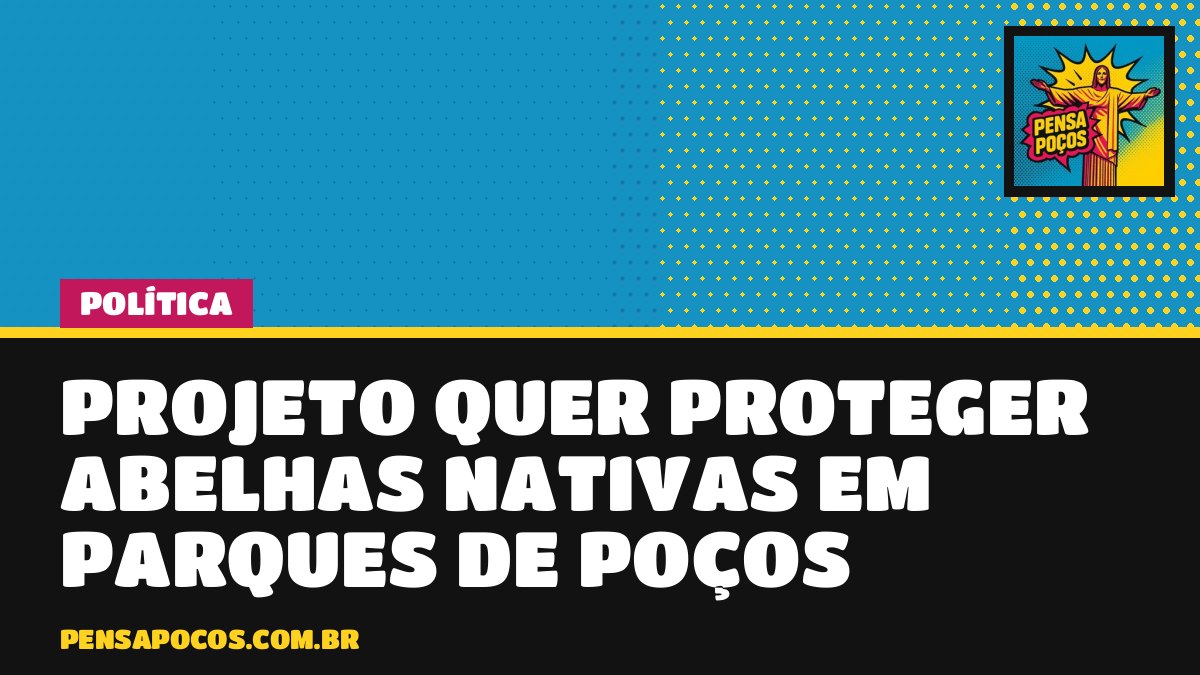 Projeto na Câmara quer proteger abelhas nativas em praças e parques de Poços