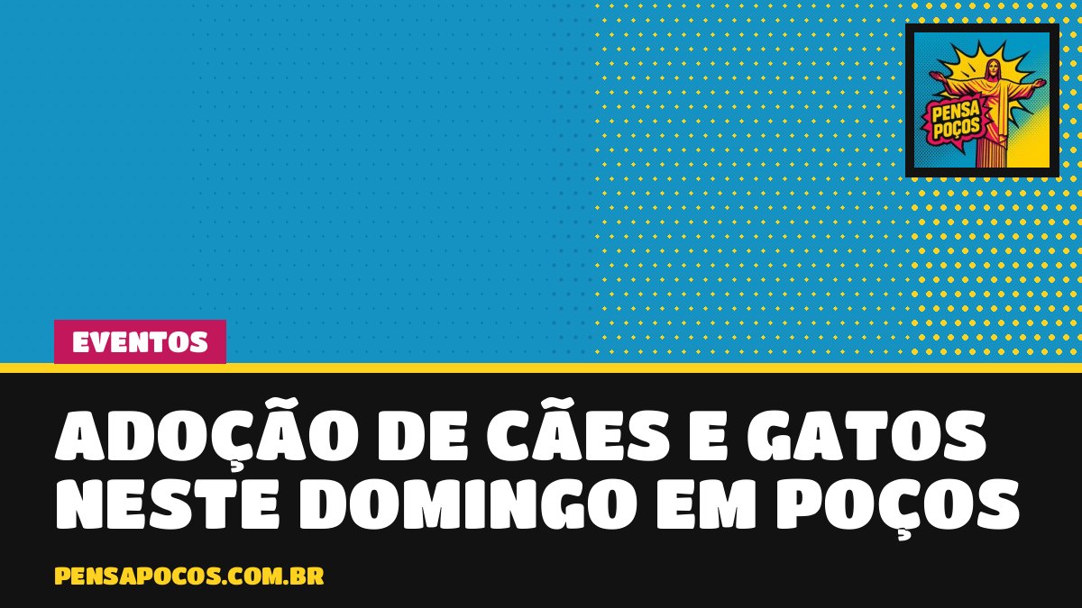 Quer um novo amigo? Feira de adoção de cães e gatos acontece domingo em Poços