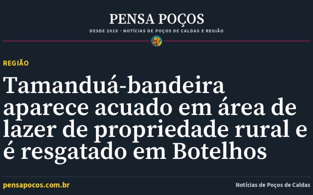 Tamanduá-bandeira aparece acuado em área de lazer de propriedade rural e é resgatado em Botelhos
