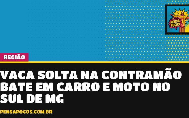 Vaca solta na contramão assusta motoristas e bate em dois veículos em São Lourenço