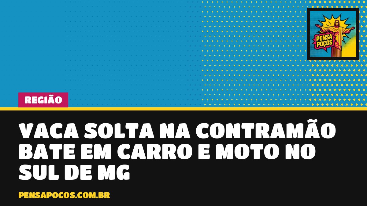 Vaca solta na contramão assusta motoristas e bate em dois veículos em São Lourenço